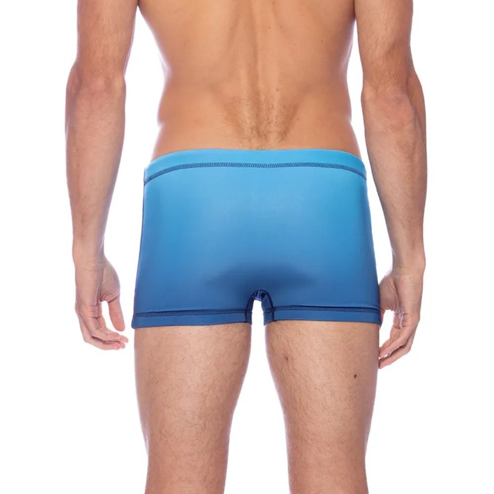 Sunga Boxer Natação Speedo Net 1