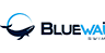 BlueWai